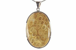 Polished Fossil Coral Pendant - Sterling Silver #279233