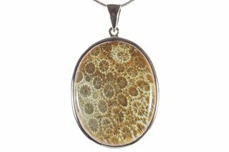 Polished Fossil Coral Pendant - Sterling Silver #279235