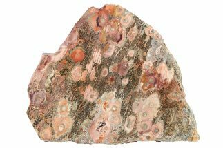 Polished Bird's Eye Jasper (Rhyolite) Slab - Mexico #279655