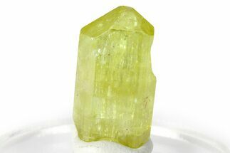 Gemmy Yellow-Green Apatite Crystal - Morocco #276560
