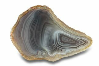 Polished Botswana Agate - Botswana #279746