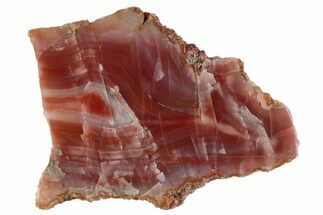 Polished Pilbara Agate Slab - Oldest Known Agate #279780