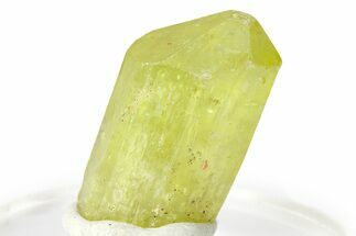 Gemmy Yellow-Green Apatite Crystal - Morocco #276528