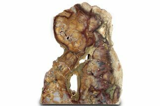 Freestanding Brilliant Red, Yellow, and Purple Jasper #279899