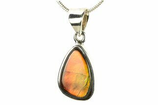 Stunning Ammolite Pendant (Necklace) - Sterling Silver #280046