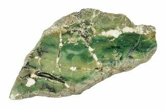 Polished Green-White Opal Slab - Western Australia #280153