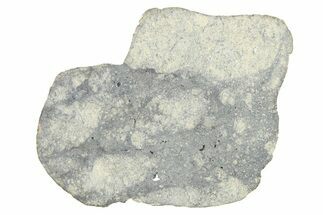 Eucrite Meteorite Slice ( g) - From Vesta Minor-Planet #280671