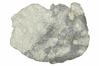 Eucrite Meteorite Slice ( g) - From Vesta Minor-Planet #280673