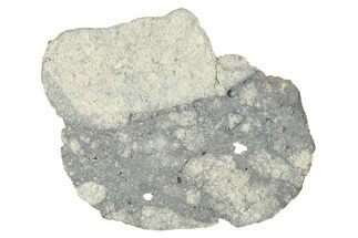 Eucrite Meteorite Slice ( g) - From Vesta Minor-Planet #280676