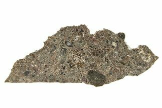Polished Lunar Meteorite Slice ( g) - Tisserlitine #280682