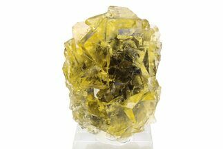 Translucent Yellow Cubic Fluorite Cluster - Okorusu Mine #280760