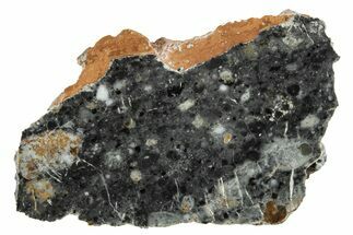 Lunar Meteorite Slice ( g) - Bechar #280799