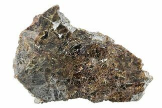 Diogenite Meteorite ( g) Slice - From Vesta Micro-Planet #281006