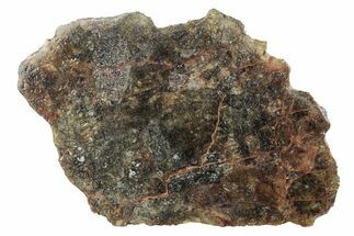 Diogenite Meteorite (g) Section - From Vesta Micro-Planet #281011