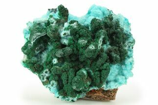 Chrysocolla Pseudomorph after Azurite with Malachite - DR Congo #280839
