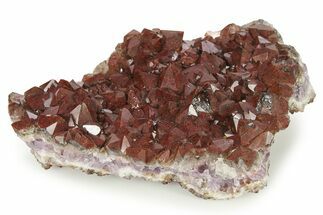 Thunder Bay Amethyst Cluster with Hematite - Canada #281232
