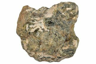 Diogenite Meteorite ( g) - From Vesta Micro-Planet #281049