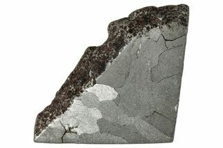 Campo del Cielo Iron Meteorite Slice ( g) - Argentina #281208