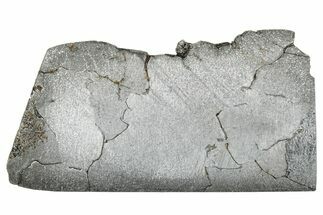 Campo del Cielo Iron Meteorite Slice ( g) - Argentina #281215