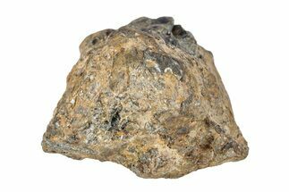 Pallasite Meteorite ( g) - NWA #281374