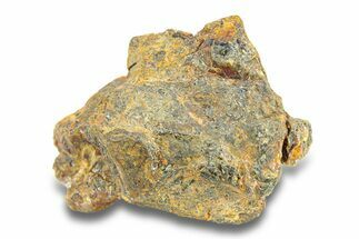 Pallasite Meteorite ( g) - NWA #281385