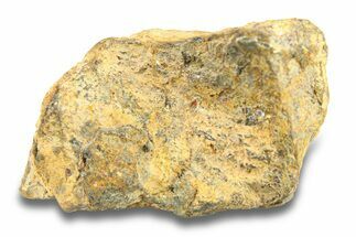 Pallasite Meteorite ( g) - NWA #281397