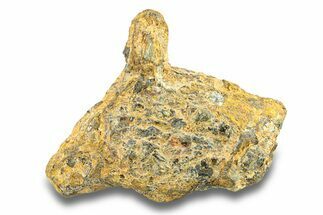 Pallasite Meteorite ( g) - NWA #281403
