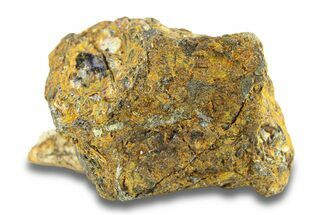 Pallasite Meteorite ( g) - NWA #281408