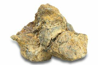 Pallasite Meteorite ( g) - NWA #281412
