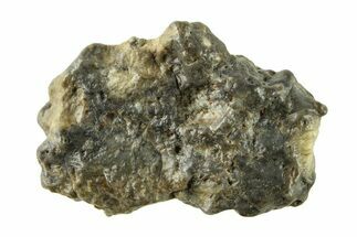 Lunar Meteorite ( g) - Laayoune #281592