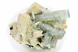 Aquamarine and Schorl Crystals on Feldspar - Namibia #281644