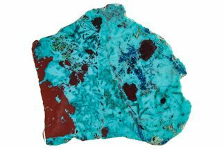 Vibrant Chrysocolla and Shattuckite Slab - Mexico #281762