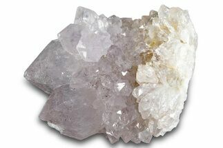 Cactus Quartz (Amethyst) Crystal Cluster - South Africa #281905