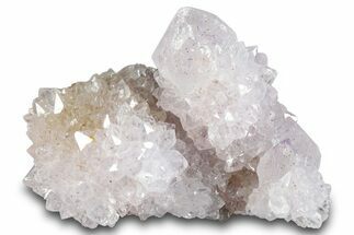 Cactus Quartz (Amethyst) Crystal Cluster - South Africa #281909