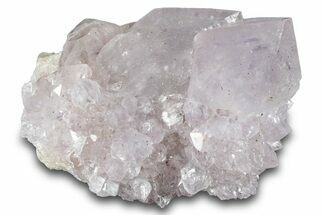 Cactus Quartz (Amethyst) Crystal Cluster - South Africa #281911