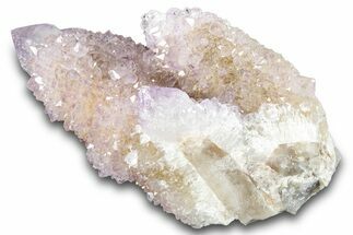 Cactus Quartz (Amethyst) Crystal Cluster - South Africa #281913