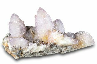 Cactus Quartz (Amethyst) Crystal Cluster - South Africa #281915