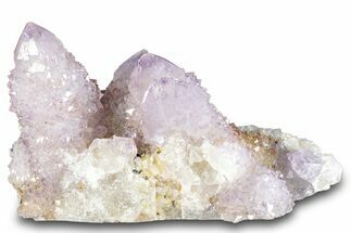 Cactus Quartz (Amethyst) Crystal Cluster - South Africa #281917