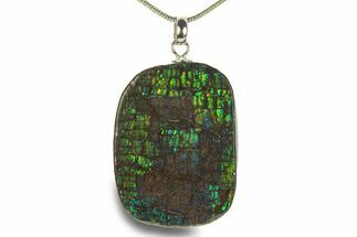 Brilliant Ammolite Pendant (Necklace) - Alberta, Canada #282461