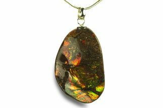 Brilliant Ammolite Pendant (Necklace) - Alberta, Canada #282464