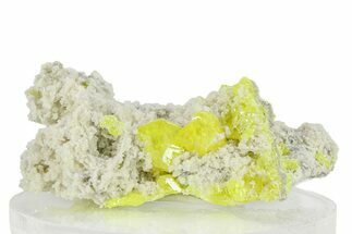 Striking Sulfur Crystals on Fluorescent Aragonite - Italy #282572