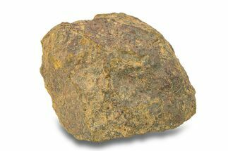 Gold Basin Chondrite Meteorite ( g) - Arizona #282770