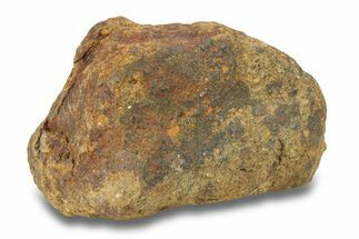 Gold Basin Chondrite Meteorite ( g) - Arizona #282776