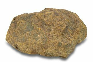 Gold Basin Chondrite Meteorite ( g) - Arizona #282781