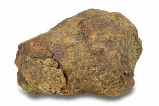 Gold Basin Chondrite Meteorite ( g) - Arizona #282782