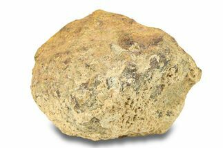 Gold Basin Chondrite Meteorite ( g) - Arizona #282784