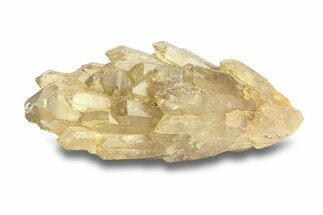 Smoky Citrine Crystal Cluster - Lwena, Congo #282850