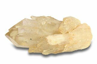 Smoky Citrine Crystal Cluster - Lwena, Congo #282869