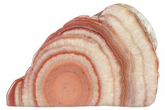 Polished Potato Agate Slice - England #283061