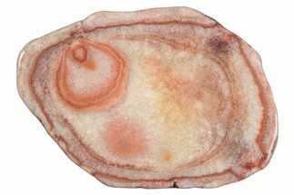Polished Potato Agate Slice - England #283069